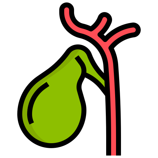 Gallbladder Generic Outline Color icon