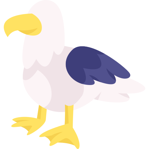 Albatross free icon Albatross free icon