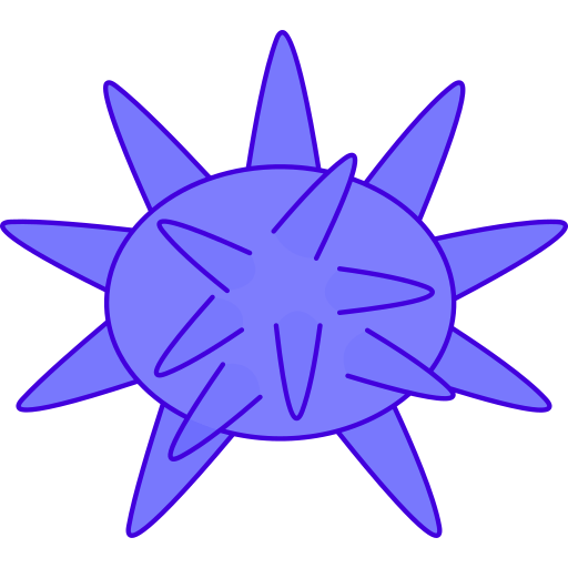 Sea urchin Generic Outline Color icon