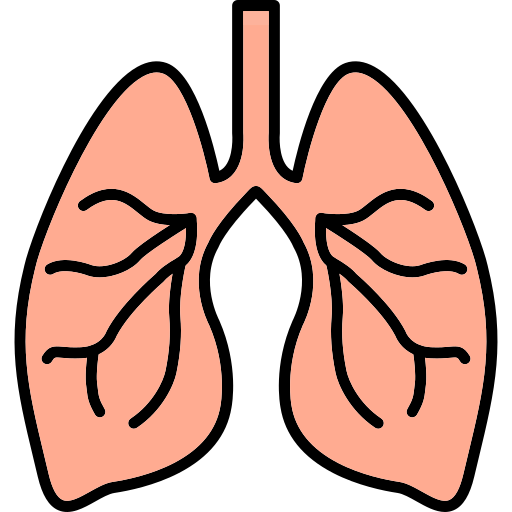 Lungs Generic Outline Color icon