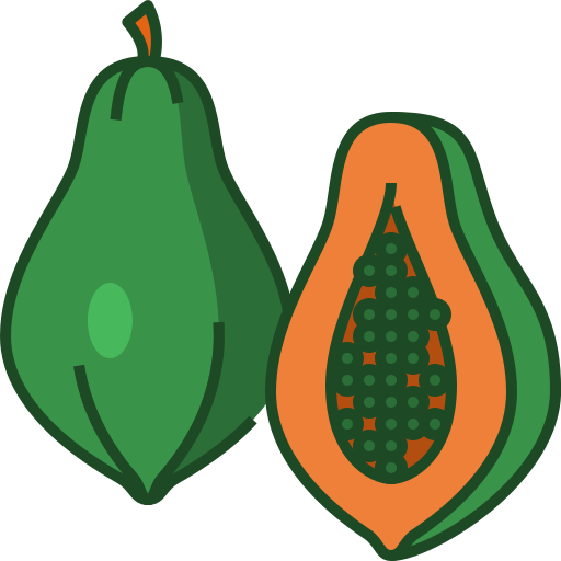 Papaya Generic Outline Color icon