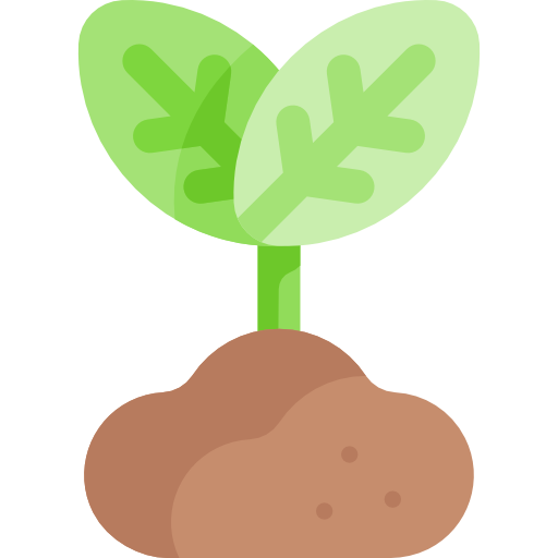 Sprout free icon Sprout free icon