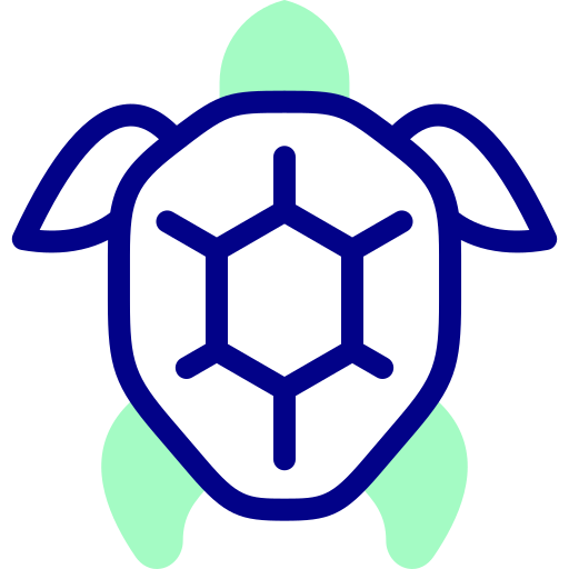 Turtle Detailed Mixed Lineal color icon