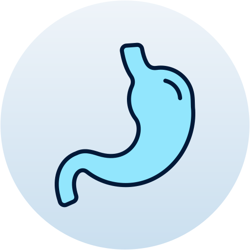 Stomach Generic Outline Color Icon