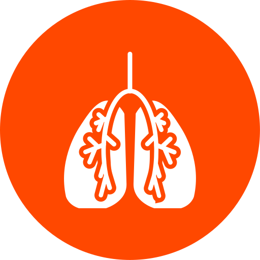 폐 무료 아이콘