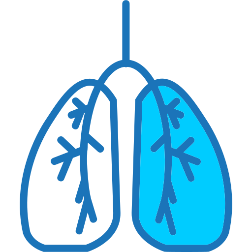 Lungs Generic Blue icon