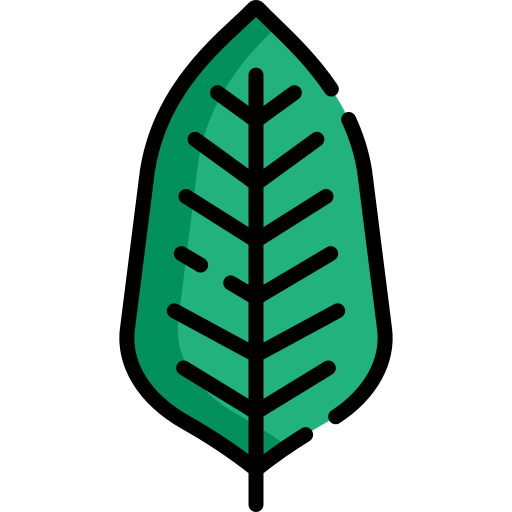 calathea Icône gratuit calathea Icône gratuit