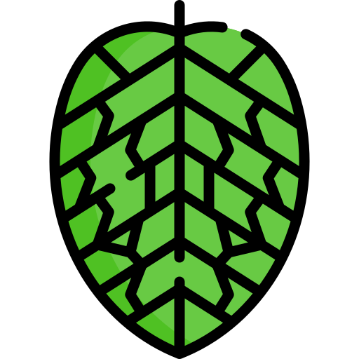 Fittonia free icon Fittonia free icon