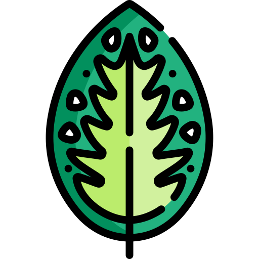 dieffenbachie kostenlos Icon dieffenbachie kostenlos Icon
