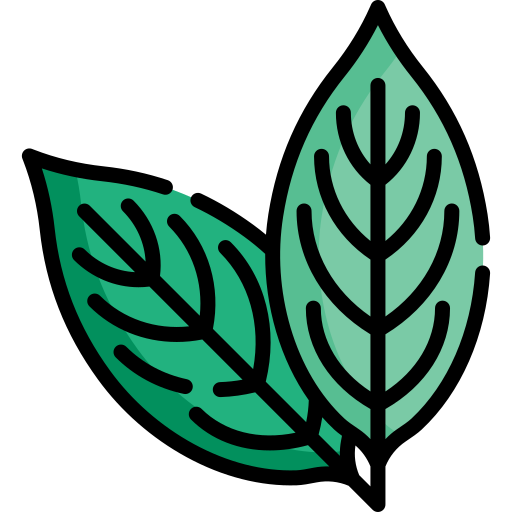ctenanthe Icône gratuit ctenanthe Icône gratuit