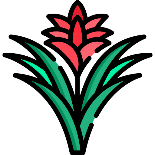 bromélia grátis ícone