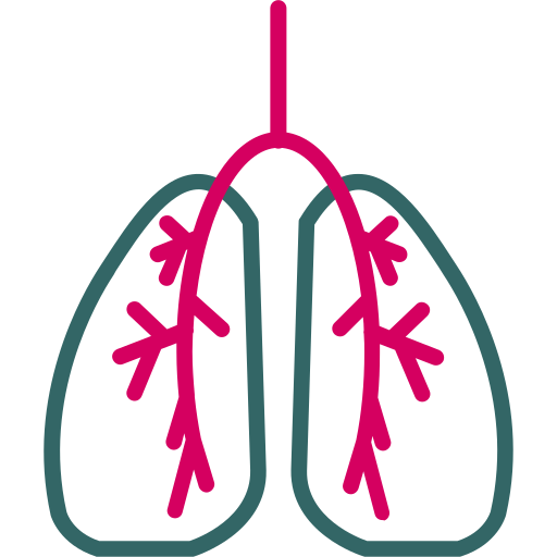 Lungs Generic Outline Color icon