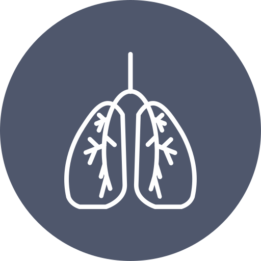 Lungs Generic Flat icon