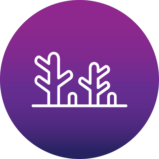 Coral free icon Coral free icon