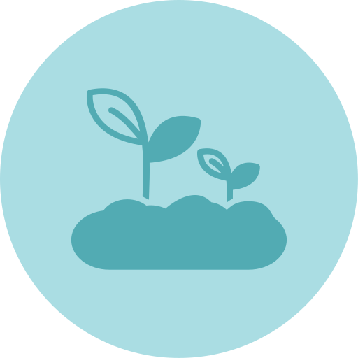 Sprout free icon