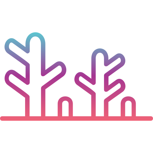 Coral free icon