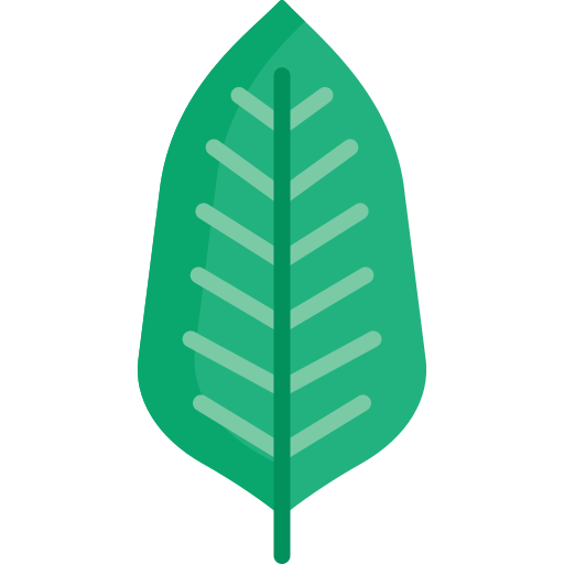 calathea Icône gratuit calathea Icône gratuit