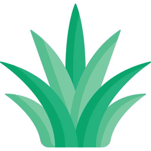 agave icono gratis