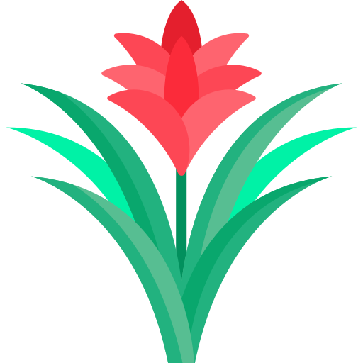 Bromeliad free icon