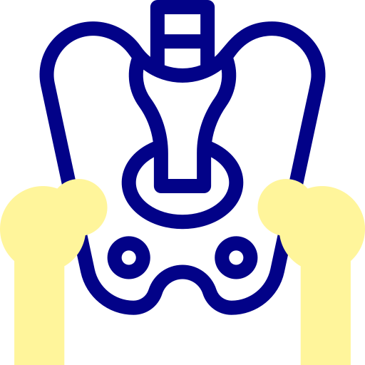 pelvis icono gratis