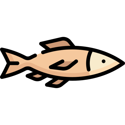 Fish Special Lineal color icon