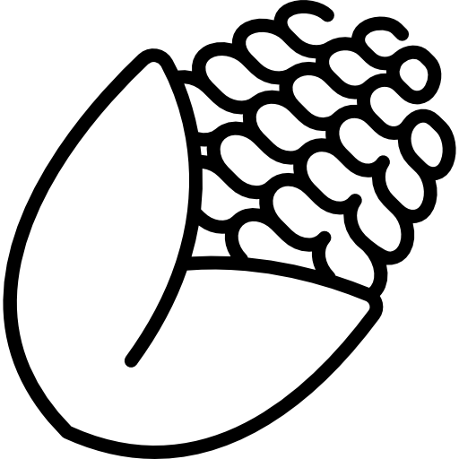 maíz icono gratis