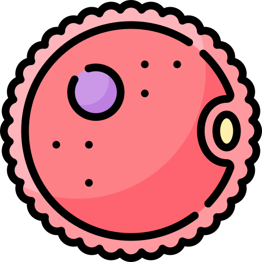 ovum kostenlos Icon ovum kostenlos Icon