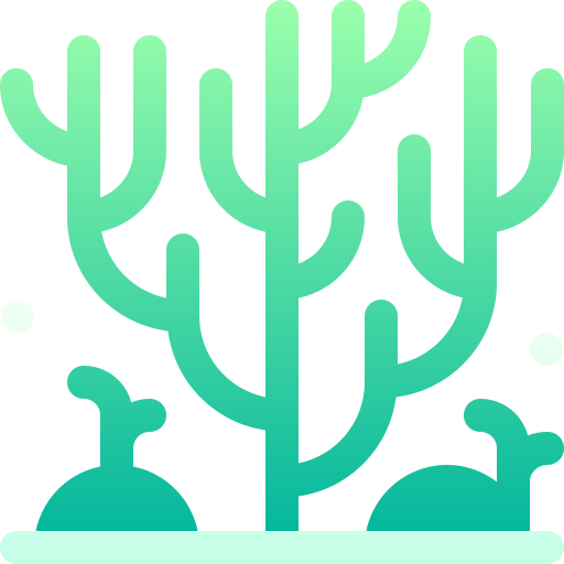 коралловый бесплатно иконка коралловый бесплатно иконка