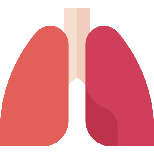 Lungs Basic Straight Flat icon