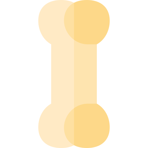 os Icône gratuit os Icône gratuit