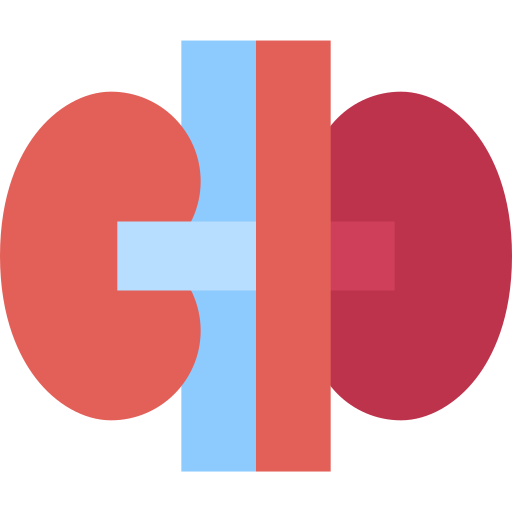 신장 무료 아이콘