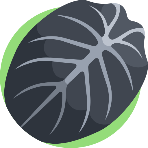 alocasia reginula icono gratis