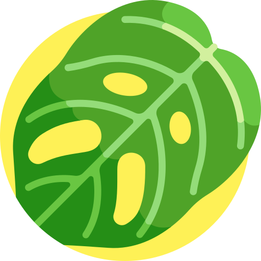 monstera adansonii icono gratis