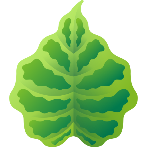 feuilles tropicales Icône gratuit feuilles tropicales Icône gratuit