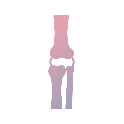 articulación de la rodilla icono gratis