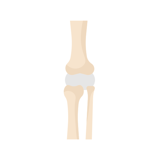 Knee joint free icon