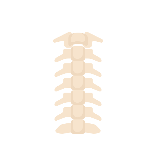 columna vertebral icono gratis