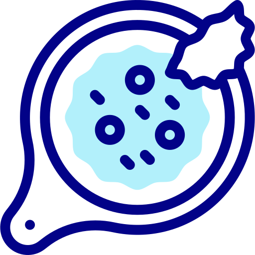 arroz frito icono gratis