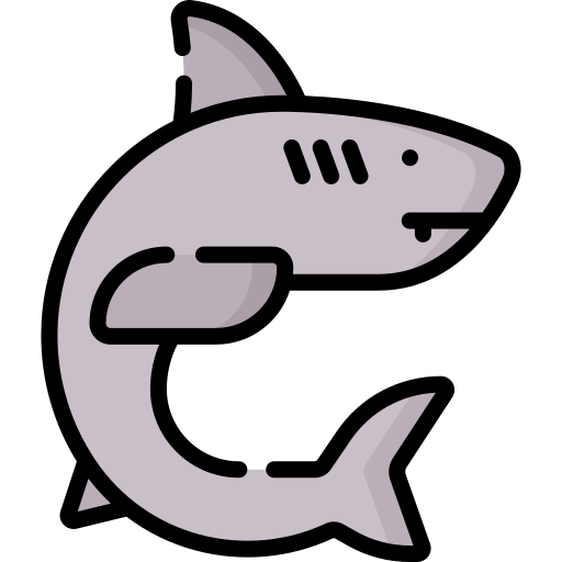 Shark Special Lineal color icon