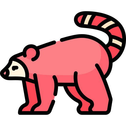 Red panda Special Lineal color icon