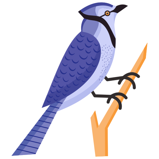Blue Jay PNG Transparent Images Free Download, Vector Files