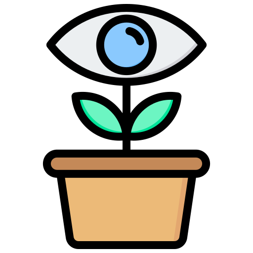 Vision Generic Outline Color icon