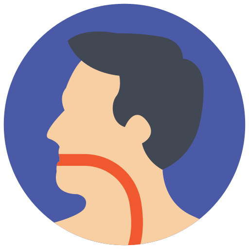 Esophagus Generic Flat icon