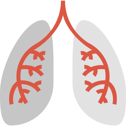 Lungs Generic Flat icon