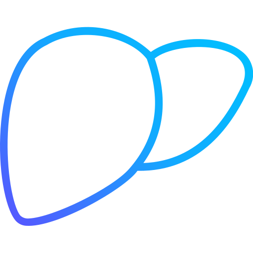 hígado icono gratis