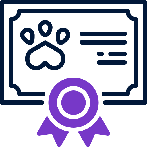 certificado grátis ícone certificado grátis ícone