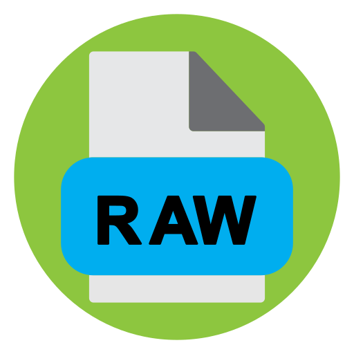 archivo raw icono gratis