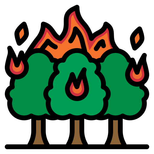 Fire Generic Outline Color icon