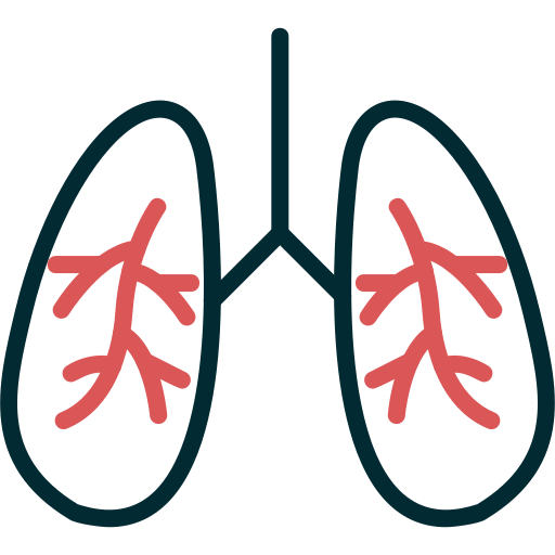 pulmones icono gratis