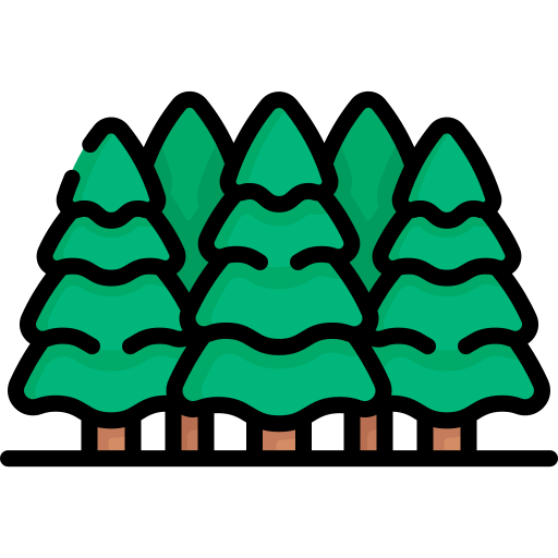 Forest Special Lineal color icon